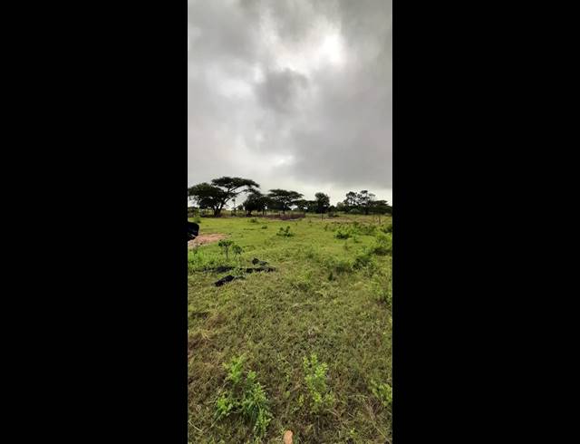 2.20HA SMALLHOLDING FOR SALE IN POLOKWANE RURAL